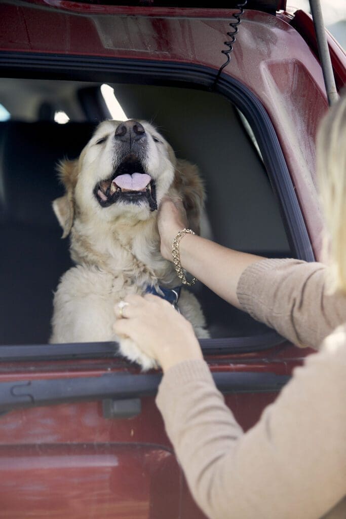 Maine the Way Shoot Things to Do in maine hiking